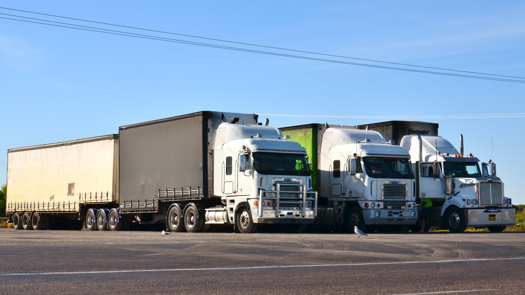 transport international marfa